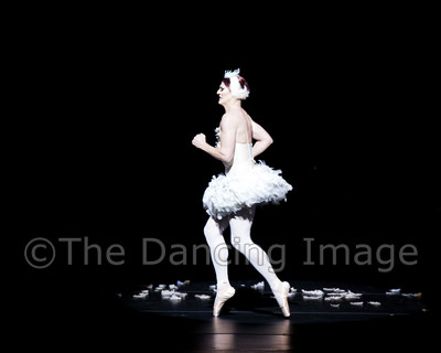 Dying Swan-0544