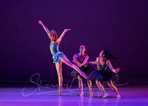 Circus Alius - pc Sharen Bradford-0557