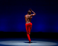 Alvin Ailey ADT-0021