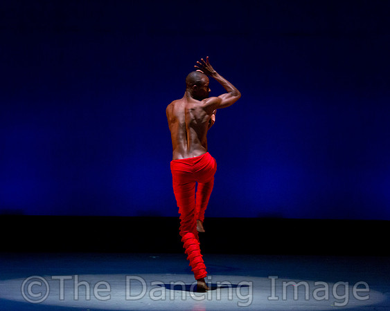 Alvin Ailey ADT-0021