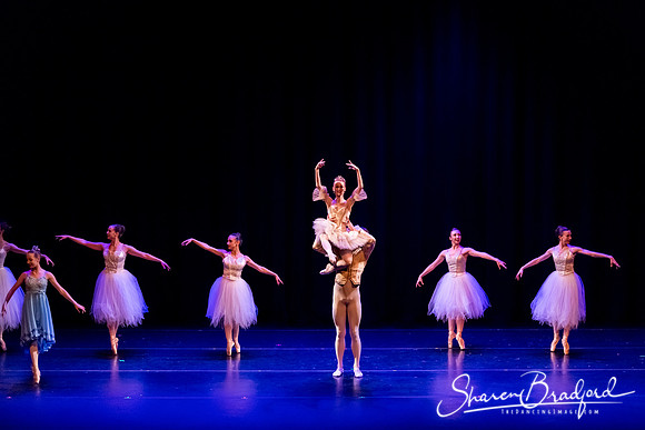 Clara's Dream 2019 pc Sharen Bradford-0370