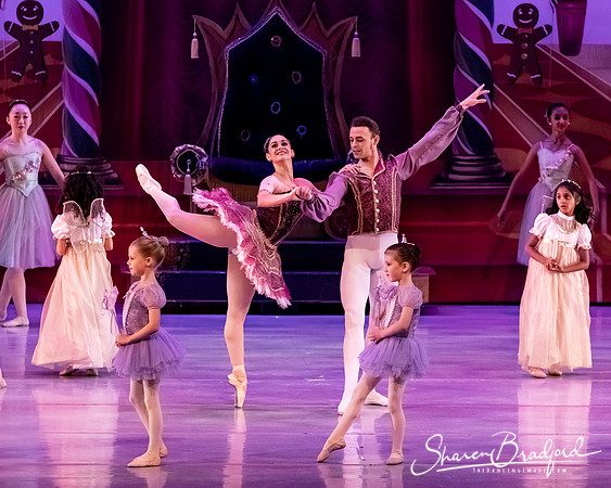 CCBT Nutcracker 19 pc Sharen Bradford-5362
