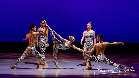 Ballet 37 pc Sharen Bradford-0536