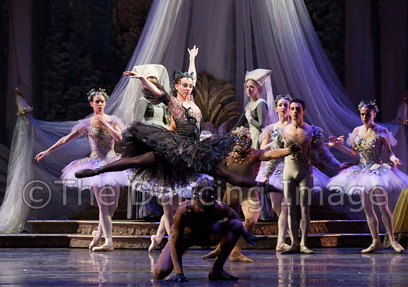 TB Sleeping Beauty Wed.-0141-2