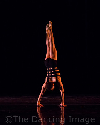 Growth_Albert Drake-1218