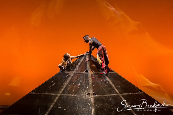 DIAVOLO - Voyage pc Sharen Bradford-0290