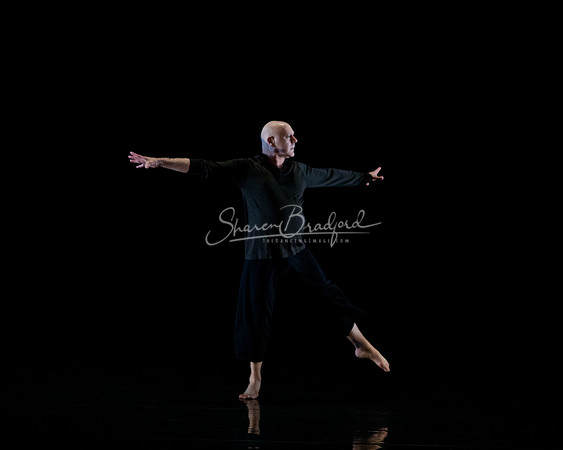 Nocturne pc Sharen Bradford-0731