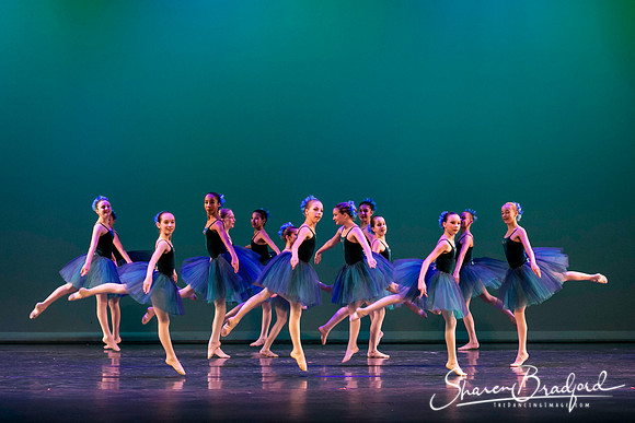 Khachaturian Waltz pc Sharen Bradford-3686