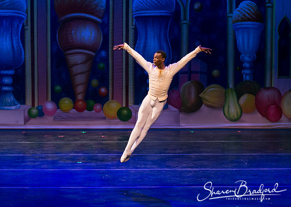 Sugar Plum Pas de Deux pc Sharen Bradford-2063