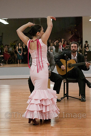 Flamenco-2-41