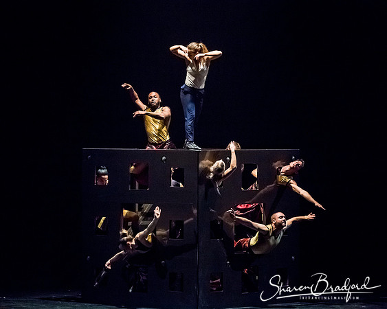 DIAVOLO - Voyage pc Sharen Bradford-0206