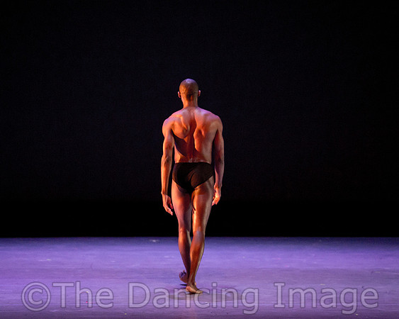 Alvin Ailey ADT-2350