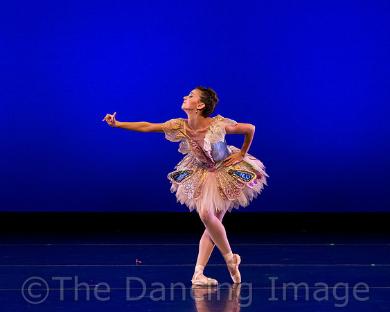 Texas Ballet Theater-1237