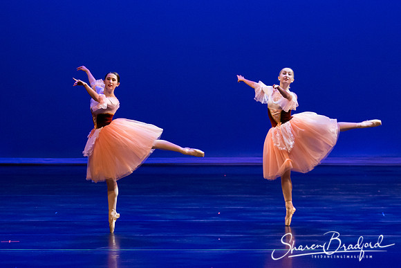 Coppelia-1803