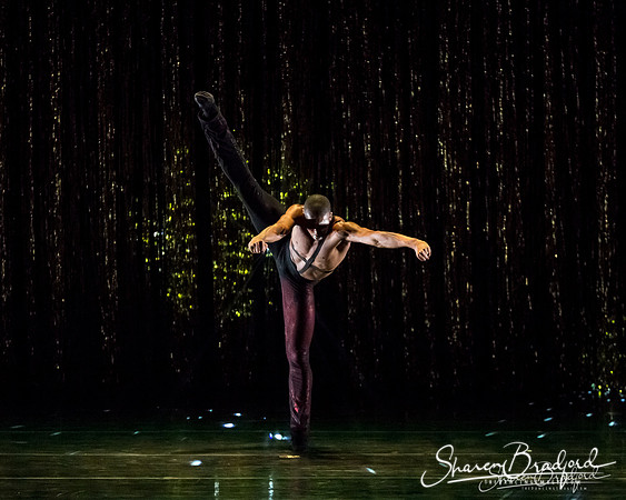 Stardust-pc Sharen Bradford-1602