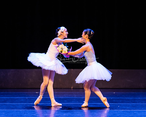 Dying Swan pc Sharen Bradford-1284