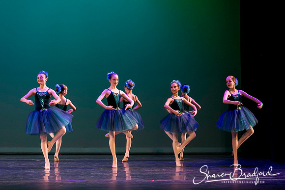 Khachaturian Waltz pc Sharen Bradford-3696