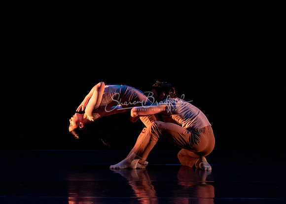 RECURRENCE pc Sharen Bradford-0782
