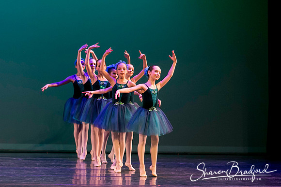 Khachaturian Waltz pc Sharen Bradford-3702
