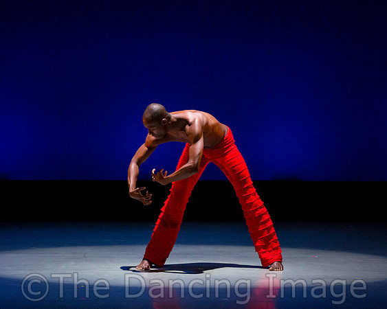 Alvin Ailey ADT-0054