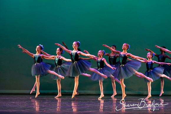 Khachaturian Waltz pc Sharen Bradford-3637