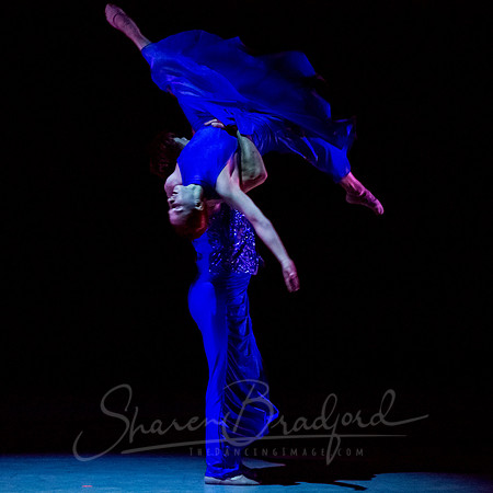 Following Echoes - pc Sharen Bradford-3475