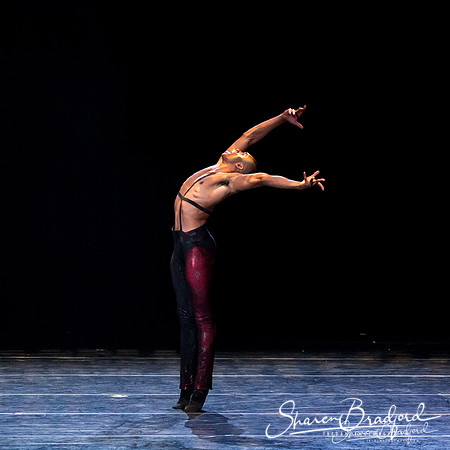 Stardust-pc Sharen Bradford-0902
