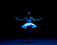 Dying Swan pc Sharen Bradford-1162