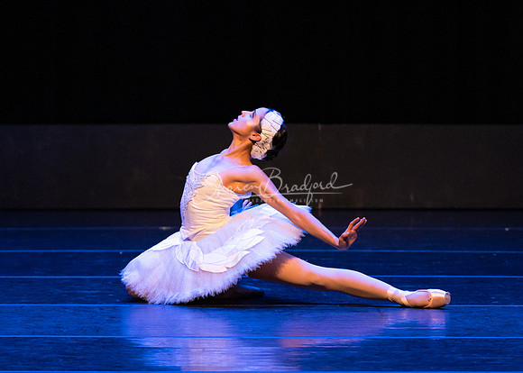 Dying Swan pc Sharen Bradford-1228
