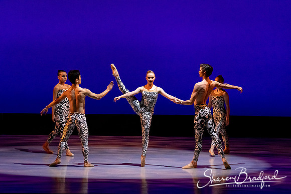 Ballet 37 pc Sharen Bradford-0533