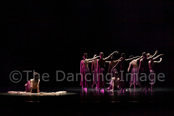 Dallas Ballet Company-1484