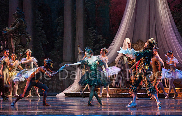 TB Sleeping Beauty Wed.-0502