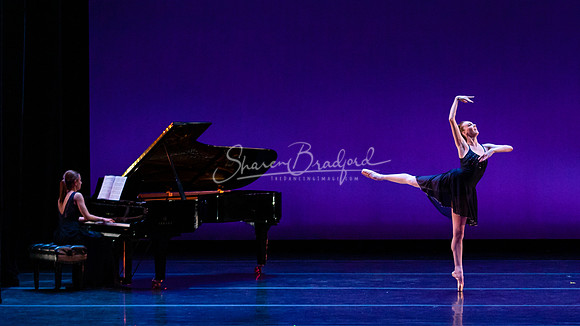Rhapsody in Blue pc Sharen Bradford-1404