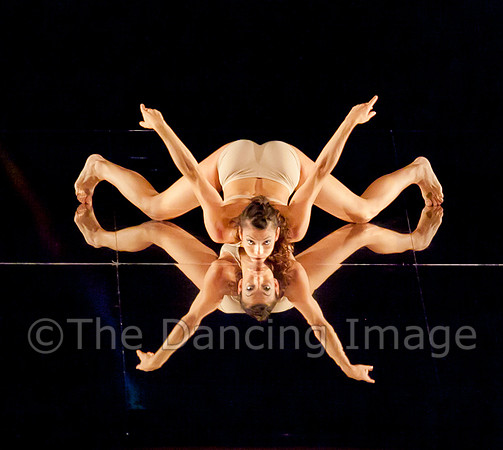 Botanica-0186