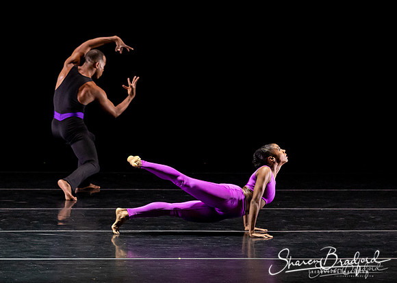 DBDT Execution of a Sentiment pc Sharen Bradford-0992