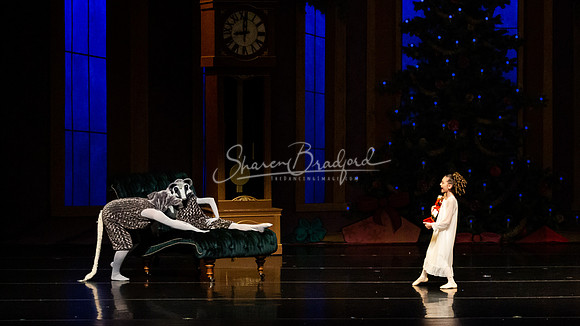 BNT Nutcracker Battle2 pc Sharen Bradford-2716