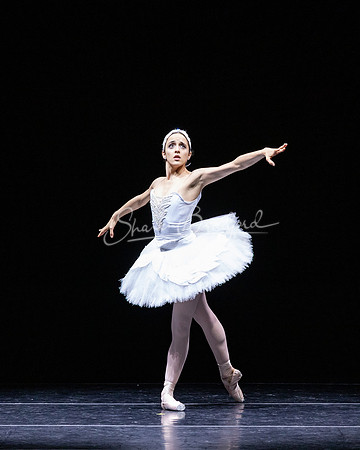 Dying Swan pc Sharen Bradford-1264