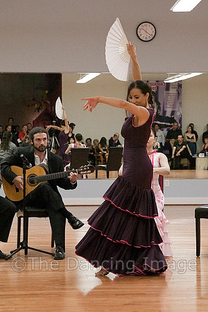 Flamenco-2-57