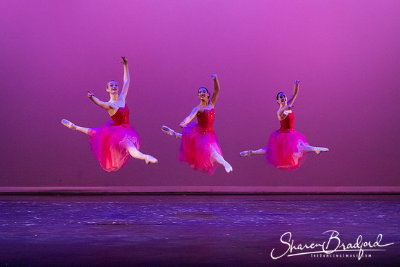 Waltz of the Flowers pc Sharen Bradford-2858