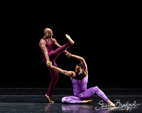 DBDT Execution of a Sentiment pc Sharen Bradford-0958