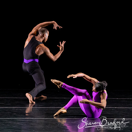 DBDT Execution of a Sentiment pc Sharen Bradford-0991