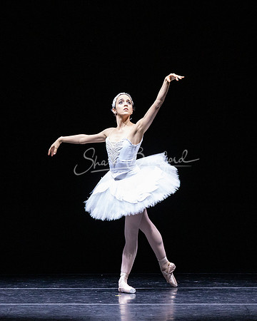 Dying Swan pc Sharen Bradford-1265