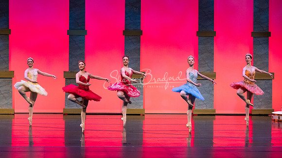 Ballet NTX Sleeping Beauty pc Sharen Bradford-0080