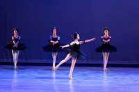The Black Swans-3404