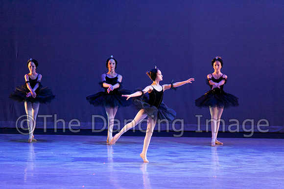 The Black Swans-3404