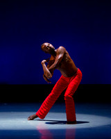 Alvin Ailey ADT-0025