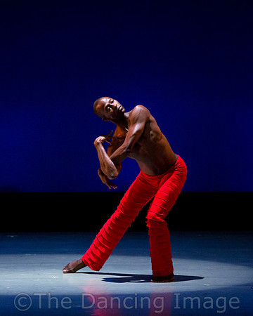 Alvin Ailey ADT-0025