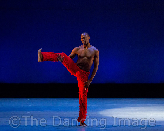 Alvin Ailey ADT-0065