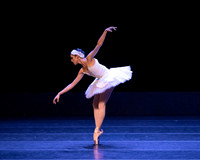 Dying Swan pc Sharen Bradford-1189