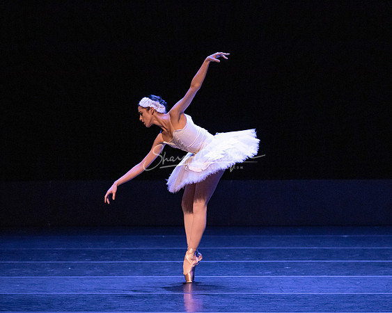 Dying Swan pc Sharen Bradford-1189
